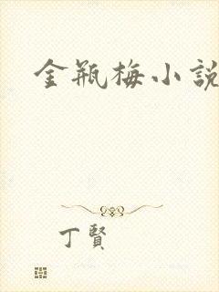 金瓶梅小说下载
