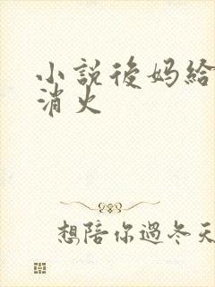 小说后妈给我消消火封面