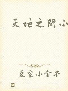 天地之间小说