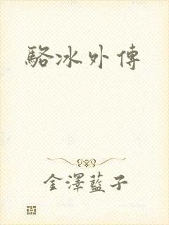骆冰外传封面