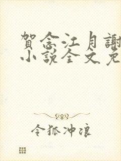 贺念江月谢泊年小说全文免费阅读笔趣阁