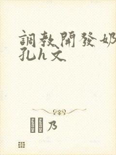 调教开发奶头乳孔h文