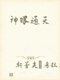 神眼通天封面
