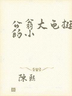 公翁大龟挺进我的小