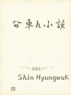 公车h小说