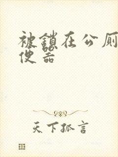 被锁在公厕当坐便器