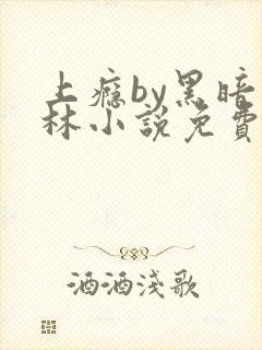 上瘾by黑暗森林小说免费