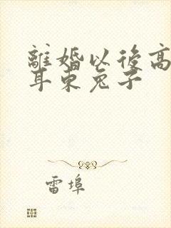 离婚以后高干 耳东兔子封面