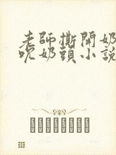 老师撕开奶罩揉吮奶头小说