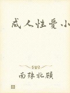 成人性爱小说封面