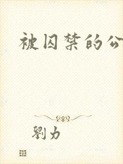 被囚禁的公主封面