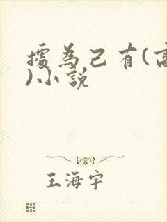 据为己有(高干)小说封面