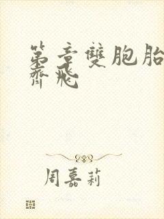 第章双胞胎姐妹齐飞封面