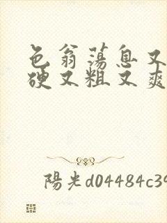 色翁荡息又大又硬又粗又爽