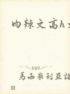 肉辣文高h文