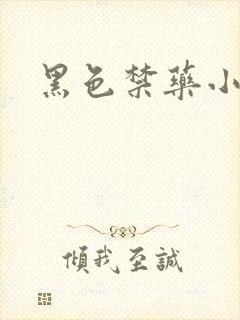 黑色禁药小说封面