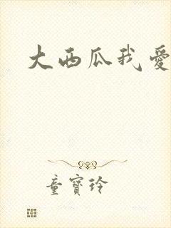 大西瓜我爱你封面