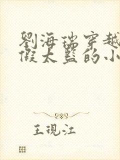 刘海瑞穿越后宫假太监的小说