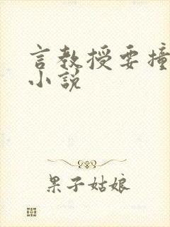 言教授要撞坏了小说