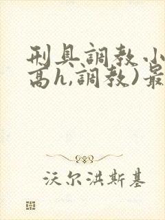 刑具调教小说(高h,调教)最新章节内容