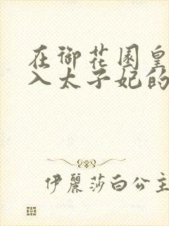 在御花园皇上进入太子妃的小说