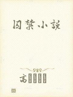 囚禁小说