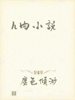 h肉小说