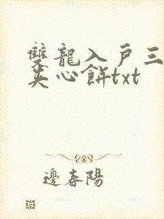 双龙入户三人行夹心饼txt