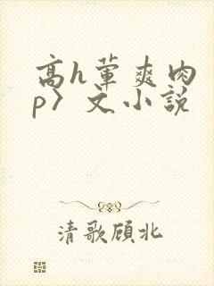 高h荤爽肉〈np〉文小说
