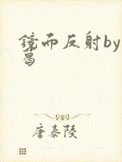 镜面反射by九葛封面