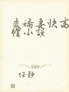 爽娇妻快高h绿帽小说封面