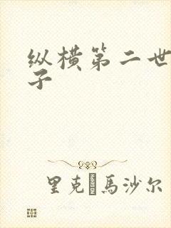 纵横第二世界宽子
