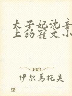 太子妃沈音和皇上的宠文小说