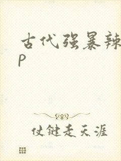 古代强暴辣文np