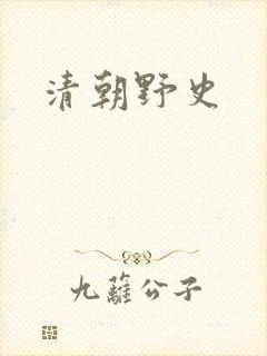 清朝野史