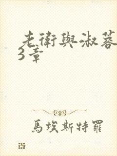 老卫与淑蓉第13章封面