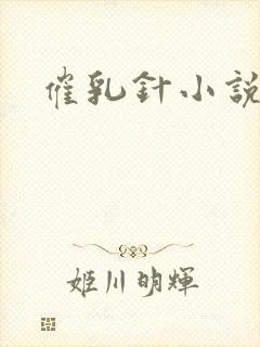 催乳针小说