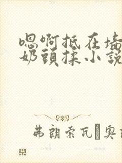 嗯啊抵在墙上h奶头揉小说