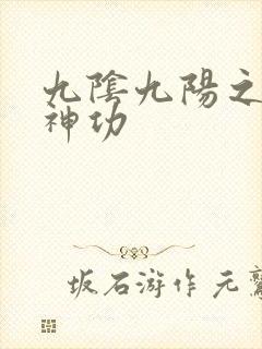 九阴九阳之阴阳神功封面