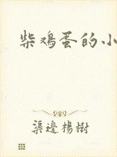 柴鸡蛋的小说