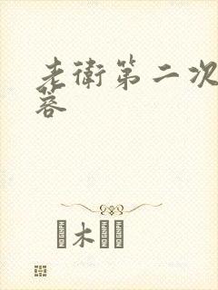 老卫第二次玩淑蓉封面