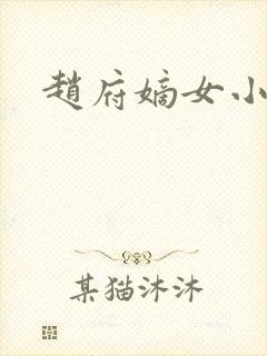 赵府嫡女小说封面