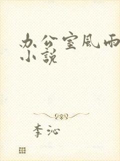 办公室风雨完整小说