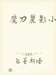 魔刀丽影小说