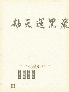 劫天运黑岩封面