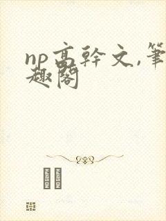 np高干文,笔趣阁
