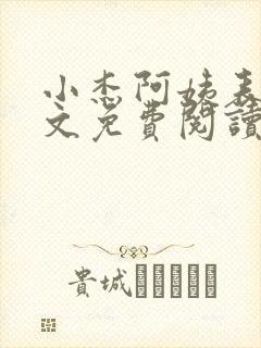 小杰阿姨表姊全文免费阅读小说续集