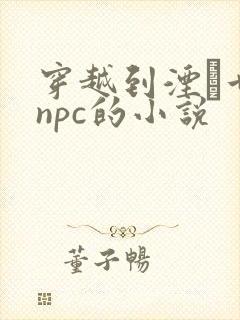 穿越到湮婸世界npc的小说