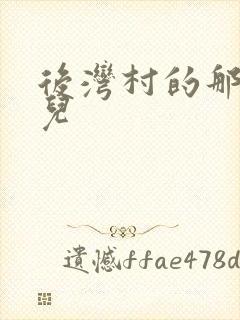 后湾村的那些事儿封面