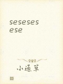 sesesesese封面